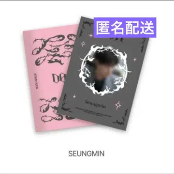 Do it 미니 스티커북 승민 straykids 공식품