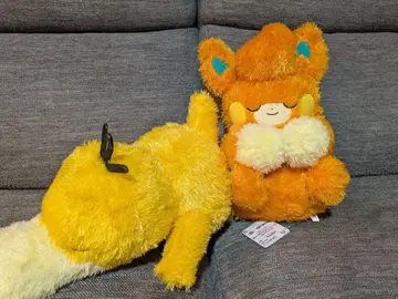 포켓몬 모후굿토 쿠츠로기 타임 봉제 인형 코닥 파모 2종 세트!