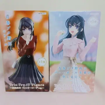 청춘 돼지 시리즈 사쿠라지마 마이 ~윈터, 스프링 코디ver.