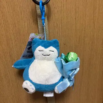 한국 한정판 포켓몬 꽃다발 카비곤