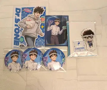 닥터스톤 크롬 보석 후르츠 popup 코코페타