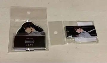 진격의 거인 싸우는 등 리바이