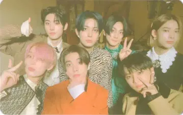 ENHYPEN DIMENSION:DILEMMA 집합 트레이딩 카드 보라색