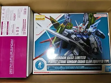 MG 퍼펙트 스트라이크 건담 & RG 데스티니 임펄스 건담