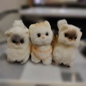 고양이 봉제 인형 3개 세트