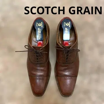 스코치 그레인 벨옴 24.5cm 브라운