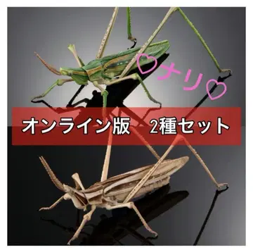 2종 세트 쇼리료밧타 생물대도감 어드밴스 곤충 생물 가챠