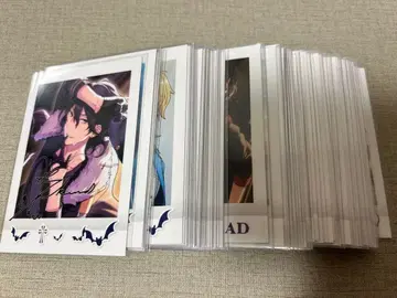 앙스타 파샤코레 레이, 훈, 코가, 아도니스 컴프 세트