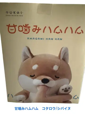 살짝 깨무는 햄햄 코타로/시바이누