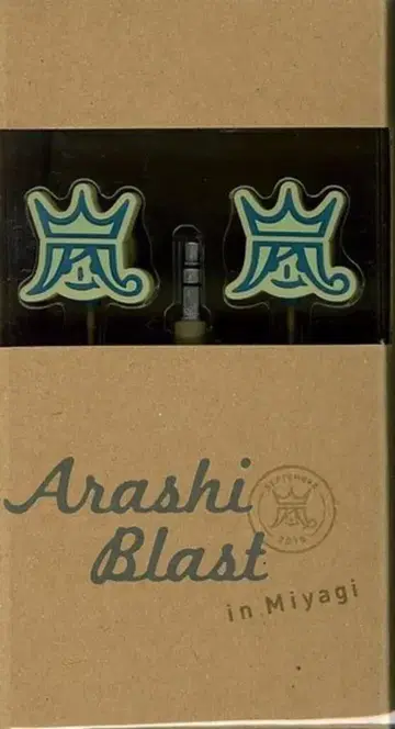 아라시 15년 ARASHI BLAST in 미야기 이어폰