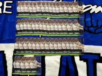 후타쿠치 켄지 금박 클리어 카드 컬렉션 하이큐