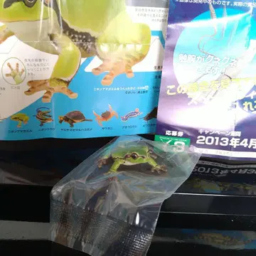 네이처 테크니컬러 일본의 생물 니혼 청개구리 [ 구판 ]