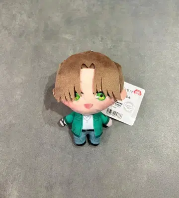 타몬 군 지금 어느 쪽!? 프레차스 F/ACE 봉제 인형 타치바나 케이토