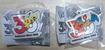 포켓몬 30주년 메탈 참 메지루시 액세서리 피카츄 리자몽