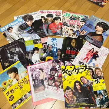 타카스기 마히로 Star Graphs 영화 드라마 특집 잡지 외