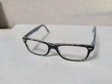 Ray-Ban 패션 안경 그레이 블랙