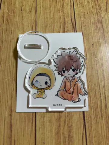 가정교사 히트맨 REBORN! 아크릴 푸치 스탠드 츠나&리본