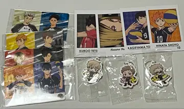 쿠라스시 하이큐 카드 메지루시 참