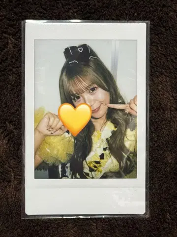 후루사와 리사 폴라로이드