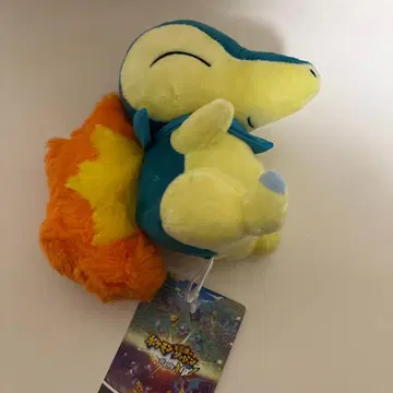 포켓몬 불가사의 던전 구조대 DX 봉제 인형 히노아라시