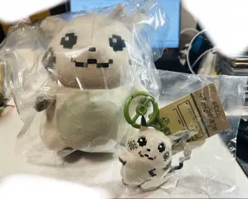 포켓몬 30주년 시작의 피카츄 세트 봉제 인형&참 해외 Ver