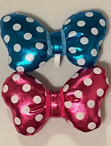 팔팔루자 핀 핀 배지 리본 범고양이와 샐리