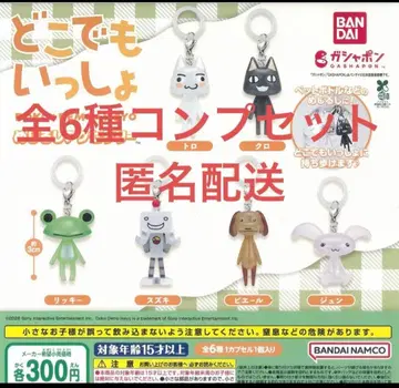 도코데모 잇쇼 메지루시 액세서리 전 6종 컴플리트 세트