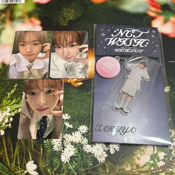 nctwish 사쿠야 트레이딩 카드