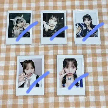 마스다 아야노 큐스트 폴라로이드 묶음 판매