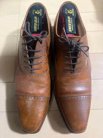 스코치 그레인 브라운 가죽 드레스 슈즈