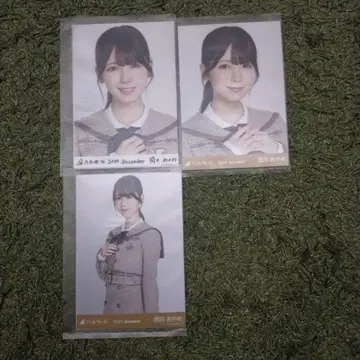 노기코레 츠츠이 아야메 세미컴프