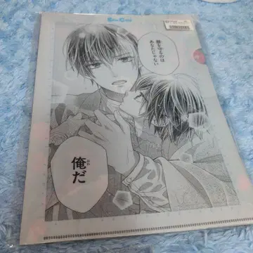 미츠키 미코 선생님 [ 소년 브라이드 ] 클리어 파일 세트