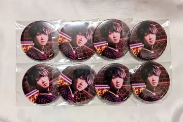 아르고나비스 GYROAXIA 아케보노 료 아키타니 히로토 캔뱃지