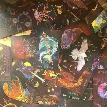 오리엔탈 타로 세컨드 에디션