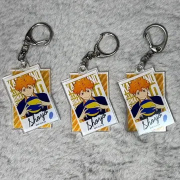 하이큐 히나타 쇼요 아크릴 키링 3개 세트