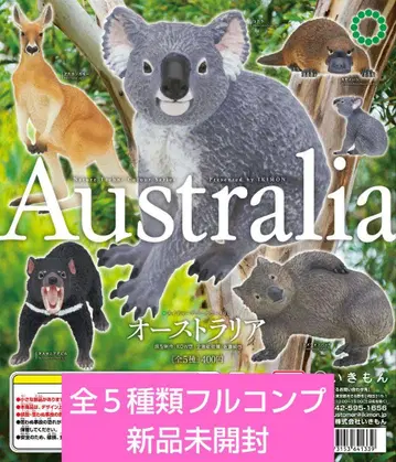 네이처 테크니컬러400 호주 전 5종류 풀컴프 미개봉 새상품