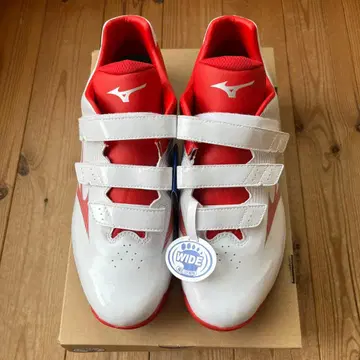 미즈노 트레이닝 슈즈 30.0cm 와이드 핏