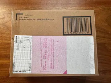 S.H.Figuarts 가면라이더 쿠우카 블랙 가타케의 사투 세트