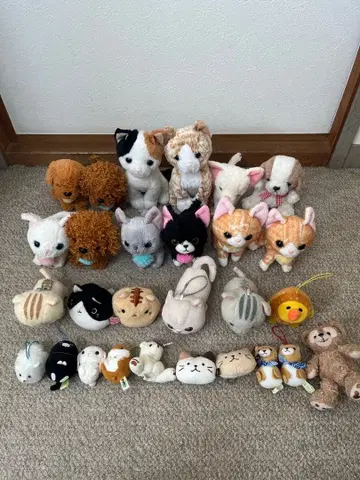 고양이 강아지 봉제 인형 세트 판매