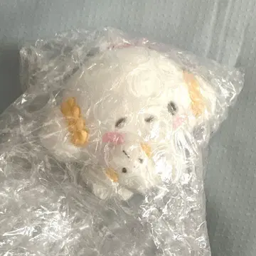 I ME 시리즈 코기뮨