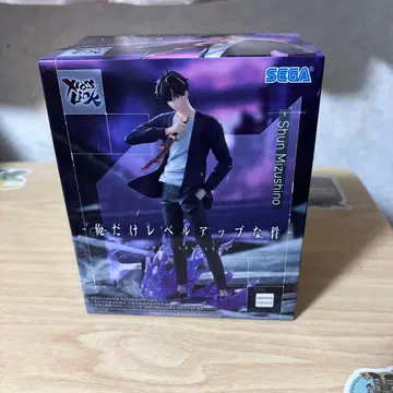 나 혼자만 레벨업 물리학자 피규어