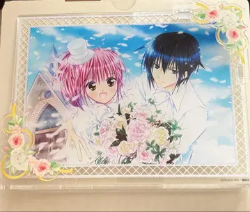 수호캐릭터 아크릴 스탠드 이쿠토 아무