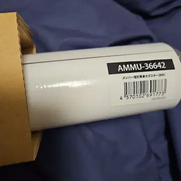 3대 JSB 오미 등신대 포스터