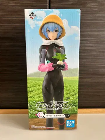 제일복권 에반게리온 ~초호기, 폭주! ~ C상 아야나미 레이 (가칭)