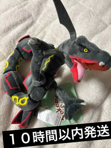 블랙 레쿠자 포켓몬 fit 이로치