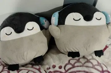 코우펜짱 노리노리 BIG 봉제 인형 2세트