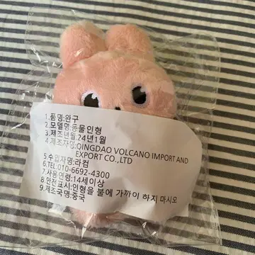 RIIZE 원빈 10cm 봉제 인형