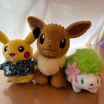 피카츄 이브이 쉐이미 봉제 인형 세트