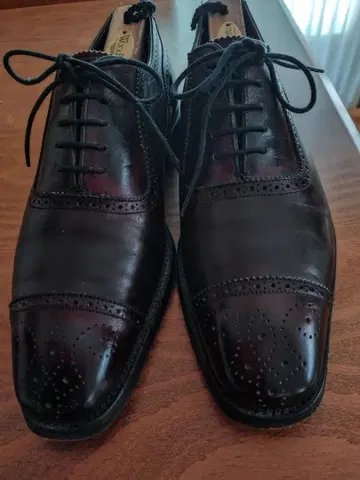 치니토모로우랜드 별주 24.5cm