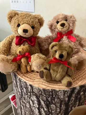 벤츠 테디베어와 기타 테디베어 세트